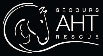 Secours AHT Rescue